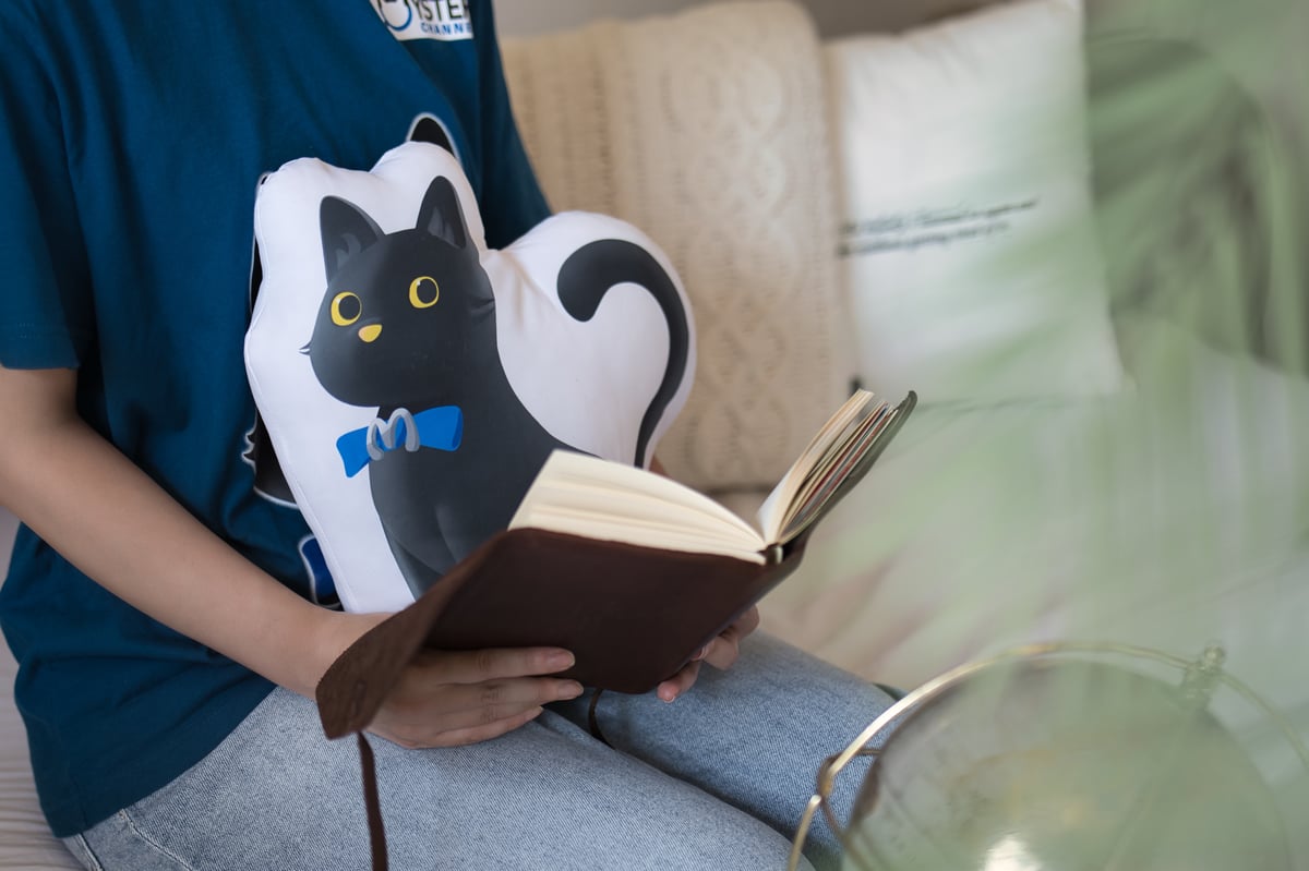 ミステリーチャンネルオリジナルぬいぐるみクッション | ミステリー