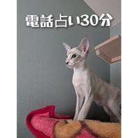 電話占い30分