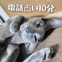 電話占い10分