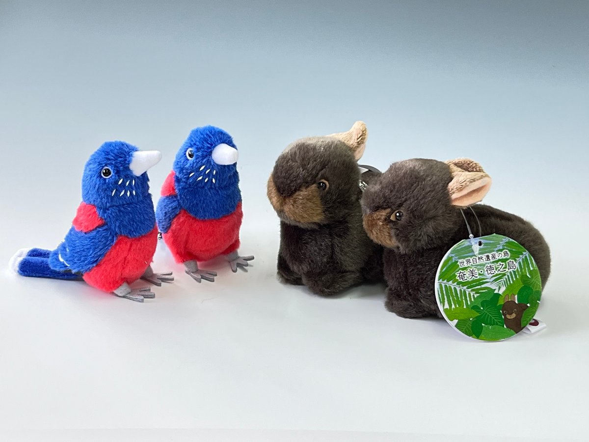 ルリカケス マスコット ルリちゃん | アマミラビット工房