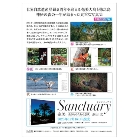 【著者サイン入り】写真集 Sanctuary　購入者特典「絵はがき2枚セット」付