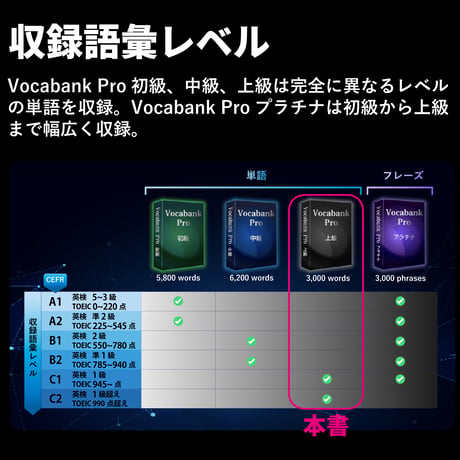 Vocabank Pro 上級