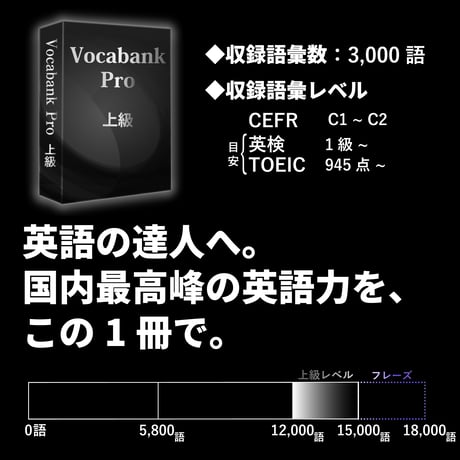 Vocabank Pro 上級