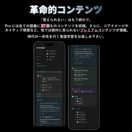 Vocabank Pro 初級