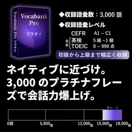Vocabank Pro初中級者向けセット