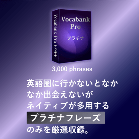 Vocabank Pro中級者向けセット