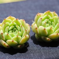 ブループリント