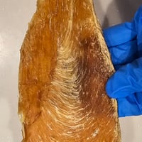 俺の背中に恋をしろジャーキー　60g