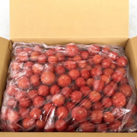 【ヘタなし・洗浄済み】調理用冷凍トマト　5kg