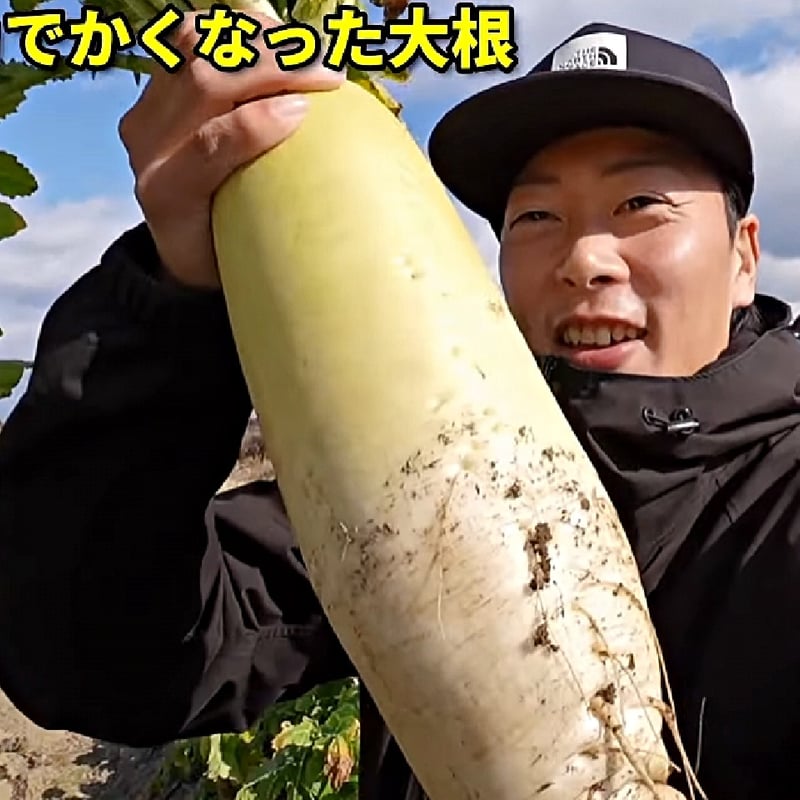 1本 】植物活性液 Gs酵素 1000ml [有機JAS適合資材] | 鈴木農園ネット