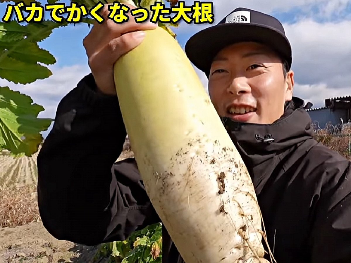 3本 】植物活性液 Gs酵素 1000ml [有機JAS適合資材] | 鈴木農園ネット