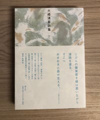 大崎清夏詩集
