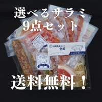 送料無料！！選べるサラミ9点セット　※1