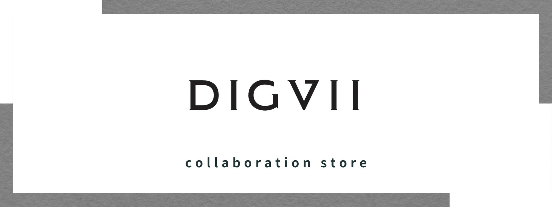 DIGVII Collaboration STORE