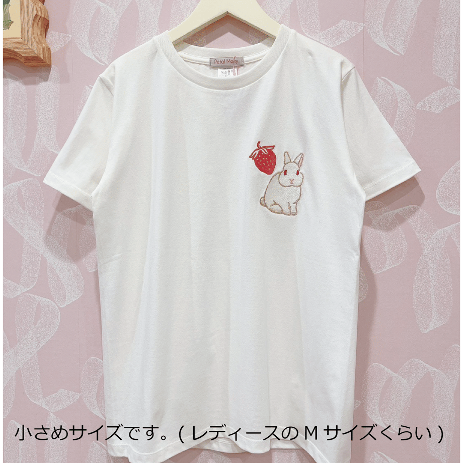 6a1169afe2dc7add549fa378