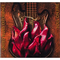 Soul on fire（United Blues Experience）