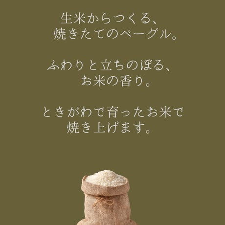 3/29 生米ベーグルと重ね煮　（ときがわ町）