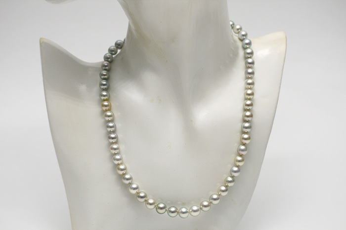 アコヤ真珠パールネックレス 7.0-9.0mm マルチカラー | eiho-pearl