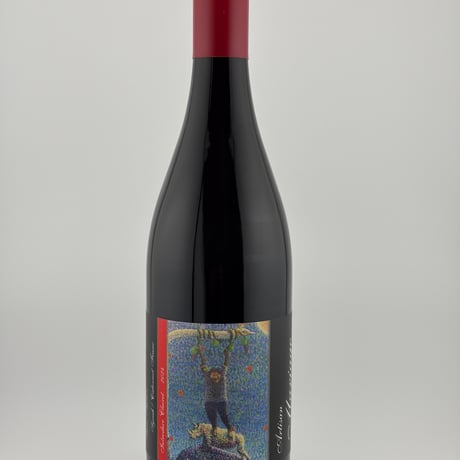 ★Artisan Mariage Vineyards Introduce Clairet...2024（アルチザン マリアージュ ヴィンヤード　イントロデュース クレーレ　2024）