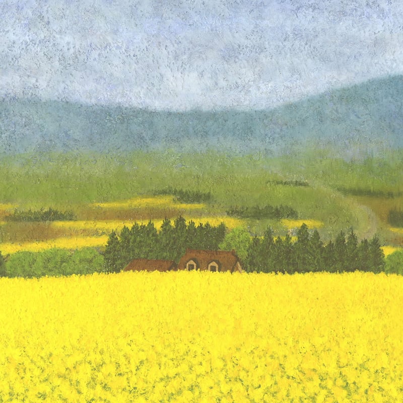 一面の菜の花 | Makoto Odagiri Art Gallery