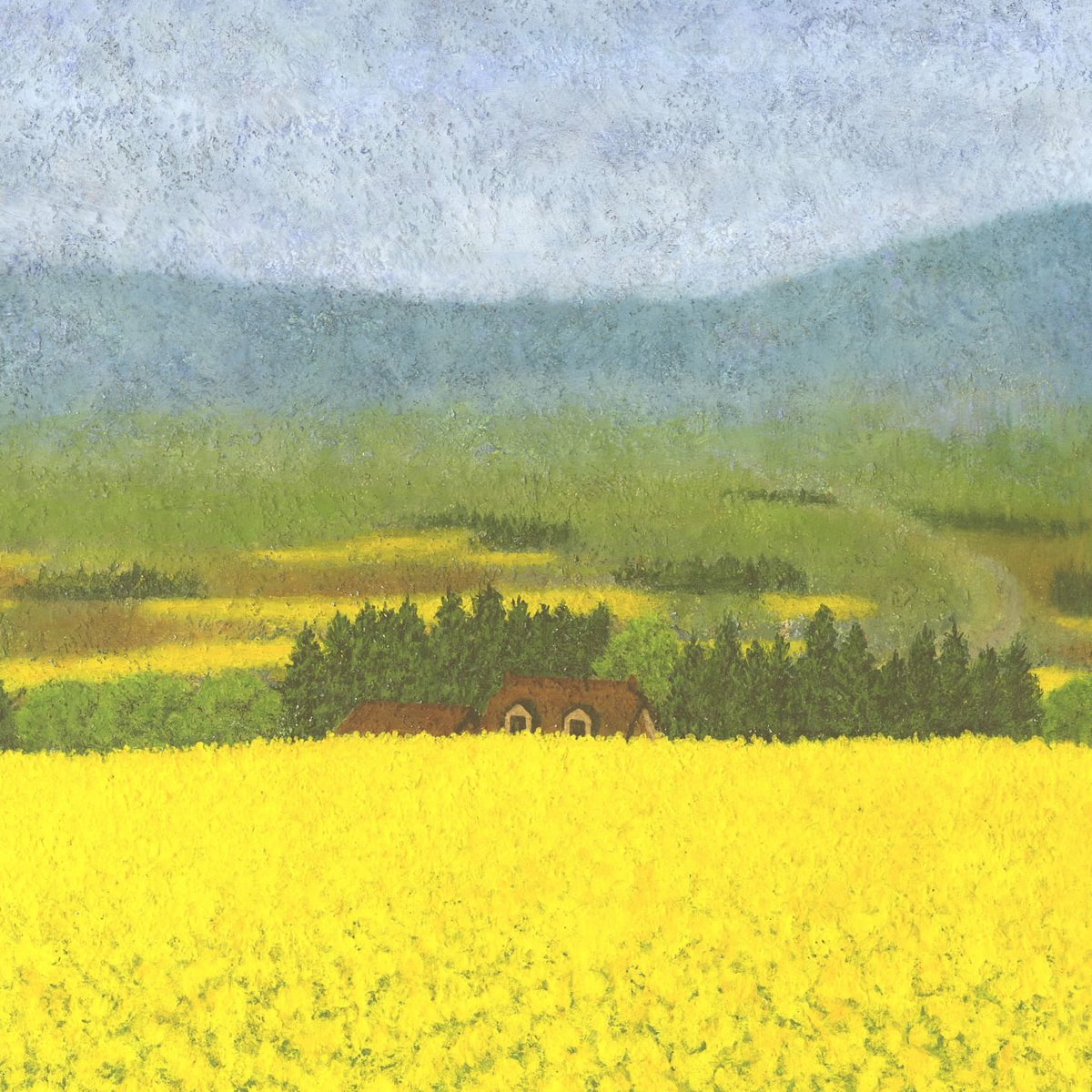 一面の菜の花 | Makoto Odagiri Art Gallery