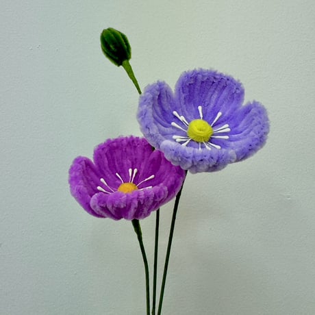 poppy | STORES