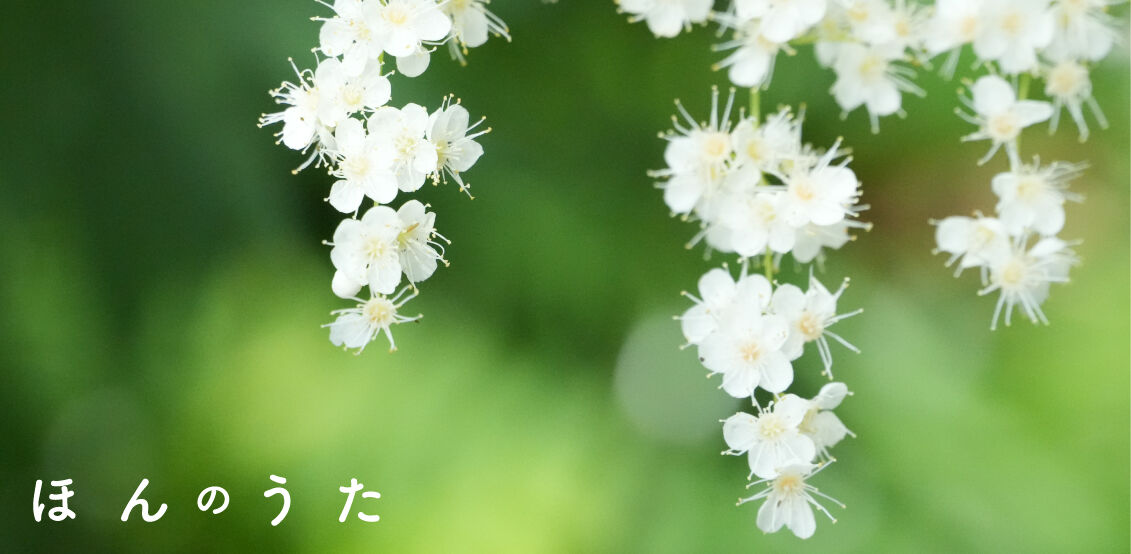 ほんのうた WEB SHOP