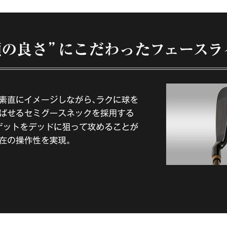 ワークスゴルフ CBRブラックプレミア アイアン ワークテック飛匠 6本セット 5番 6番 7番 8番 9番 PW