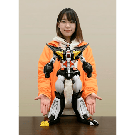 「超獣機神ダンクーガ」メガソフビキット