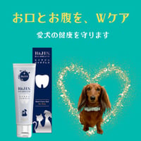 【送料無料】【２本セット】乳酸菌エイチジンバイオブレス 動物用（40g入り）