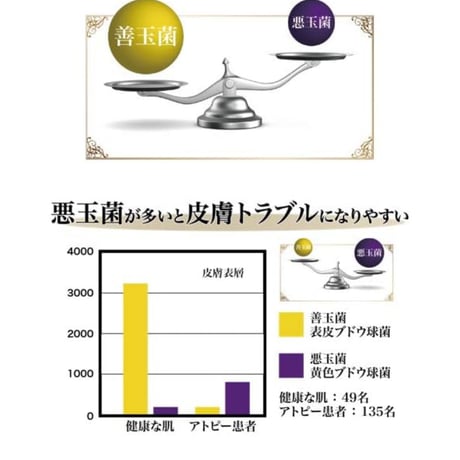 炭酸化粧水エイチジンビューティー（200g入り）