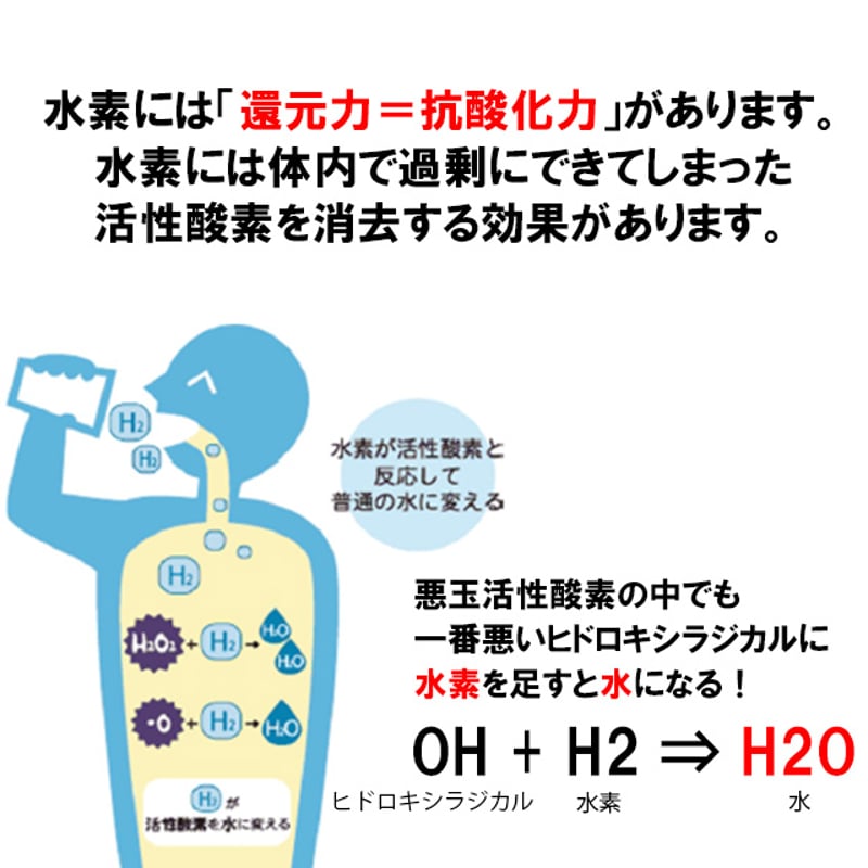 水素+酸素ダブル吸入可能』 H2RICH750+ 水素吸入器 | In Life