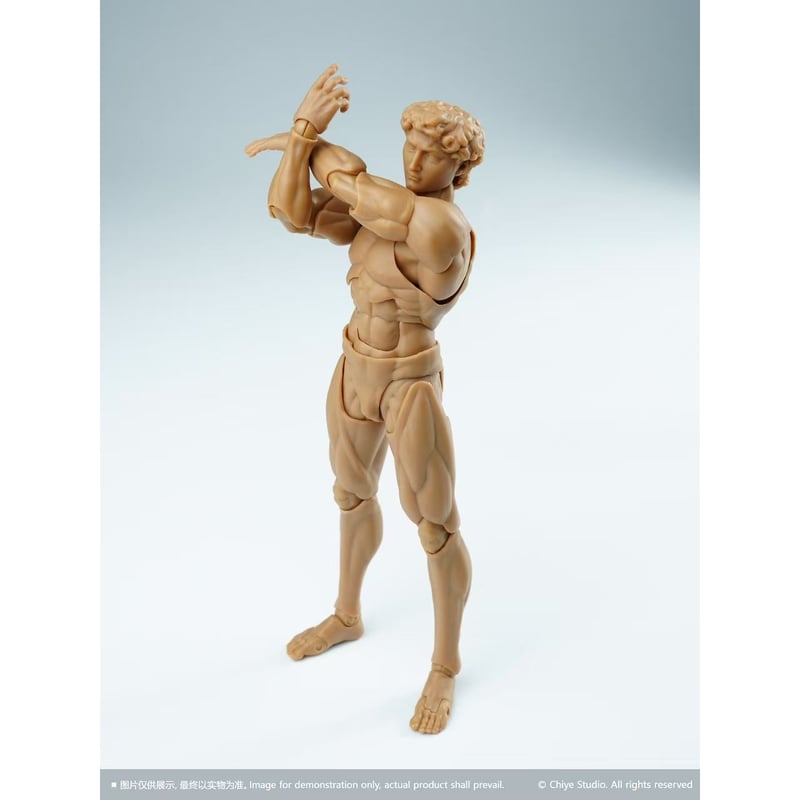 予約】馳野工作室 Chiye Studio ダビデ David 1/12スケール完成品アクシ