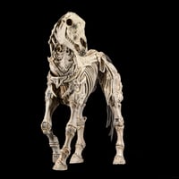 【予約前受金】Mythic Legions Reinforcements 3: Skeleton Steed Legion Builder（モンスター／馬のスケルトン）