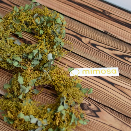 mimosa sticker