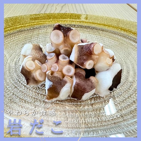 【たこや】 全3色】バレーヒル タコヤ ダイジロー セット Valleyhill 蛸家