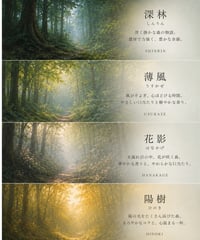 森を旅するコーヒーシリーズ｜ドリップバッグ10ｇ×４種