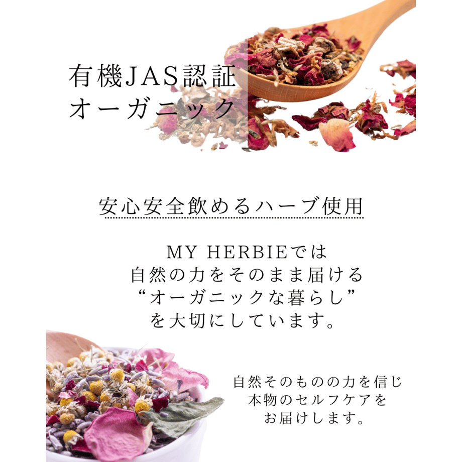 67da54d053ff9fd11ba6ba87