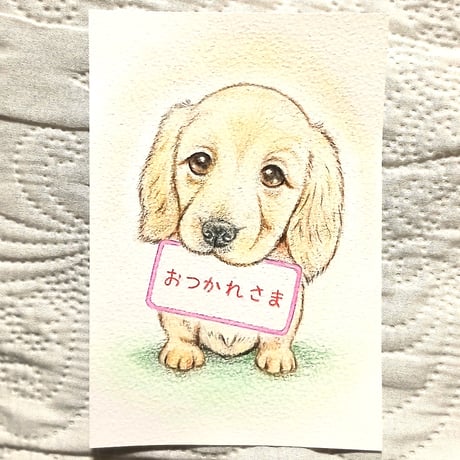 ミニチュアダックス | STORES