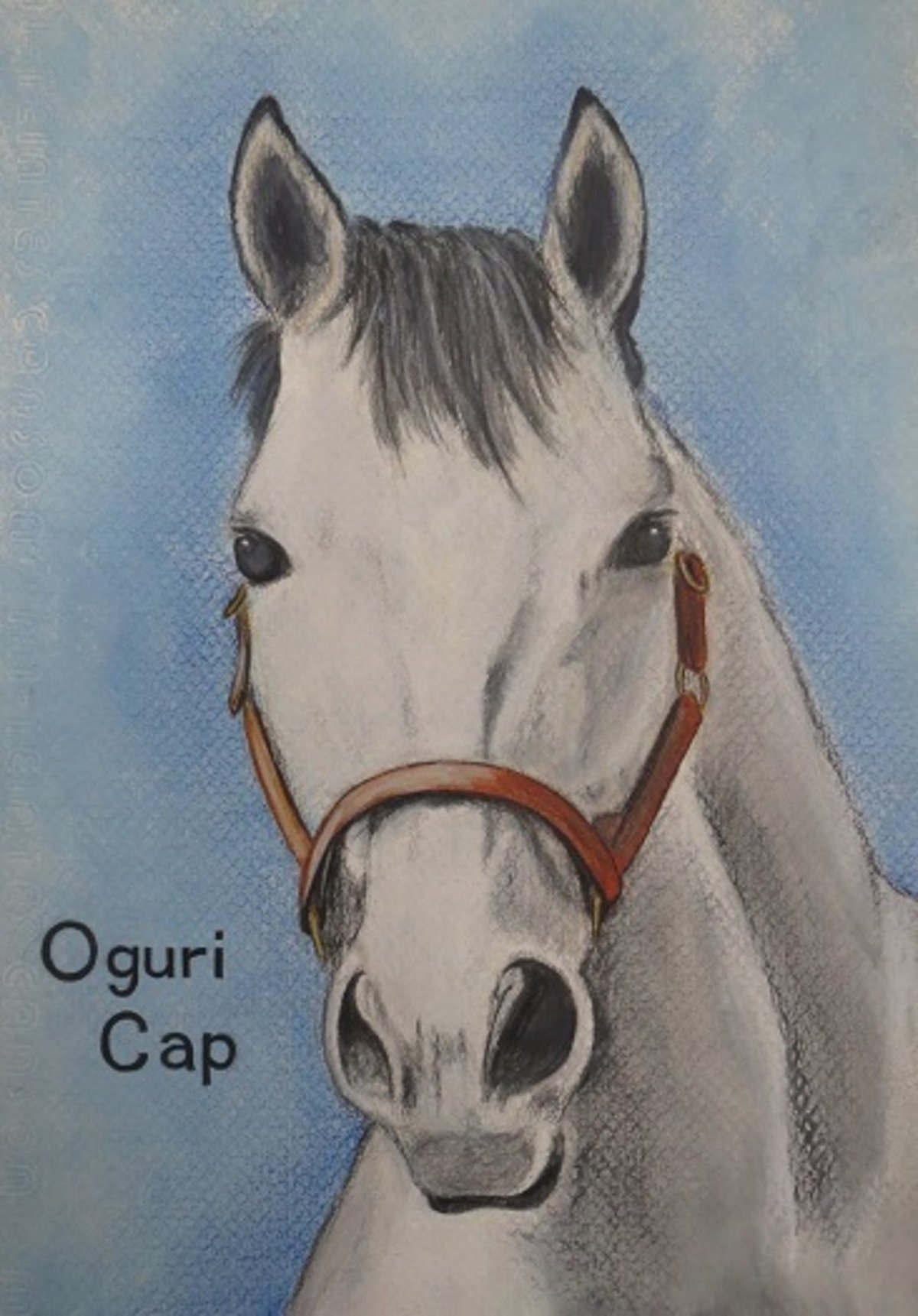 Oguri | cocoloya