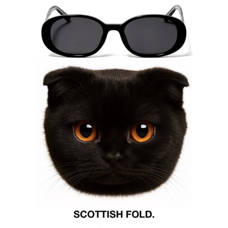 CATEGORY THE BLACK CAT | The Black Cat