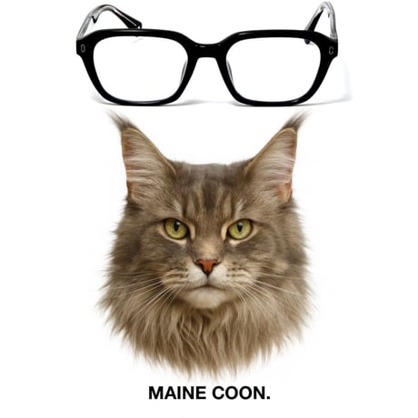 メガネ・老眼鏡 The Black Cat SCOTTISH FOLD glasses CATEGORY THE BLACK CAT | The Black Cat