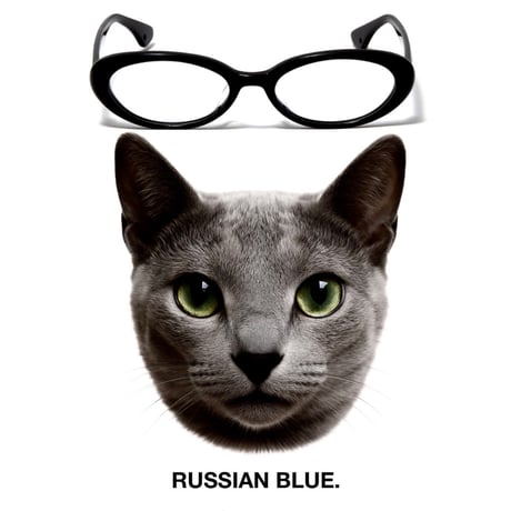 CATEGORY THE BLACK CAT | The Black Cat