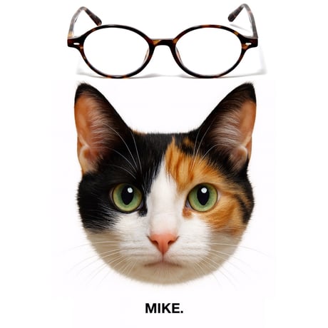 メガネ・老眼鏡 The Black Cat SCOTTISH FOLD glasses TheBlackCat]SCOTTISH FOLD | KOBUNSHA SELECT SHOP | [TheBlackCat