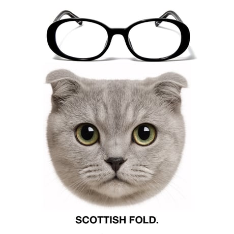 CATEGORY THE BLACK CAT | The Black Cat