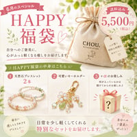 【8点限定】HAPPY福袋5500円