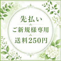 ご新規様・送料250円