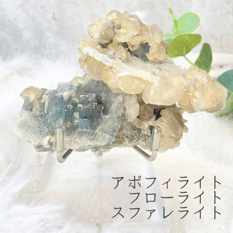 CATEGORY クラスター | CHOU. BLOSSOM STONE CATEGORY クラスター | CHOU. BLOSSOM STONE