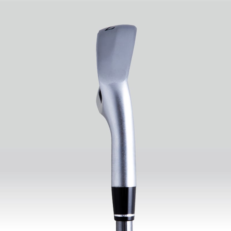 ROOTS GOLF Roots Raptor(ルーツラプター）アイアン オリジナル