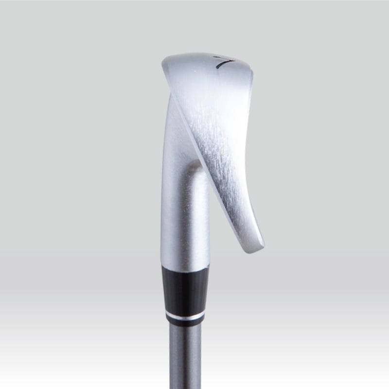 ROOTS GOLF Roots Raptor(ルーツラプター）アイアン オリジナル